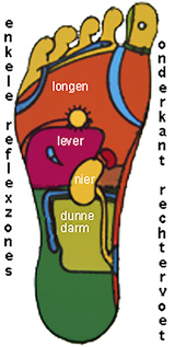 Reflexzoens bij voetreflextherapie